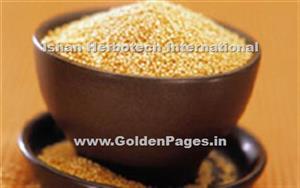 > </div>
<div class=